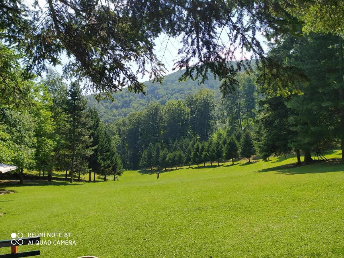 Apartmani - Vila Kovilje Banja Koviljača 외부 사진