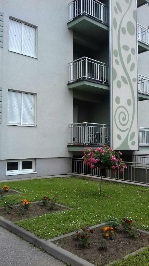 Apartmani - Vila Kovilje Banja Koviljača 외부 사진