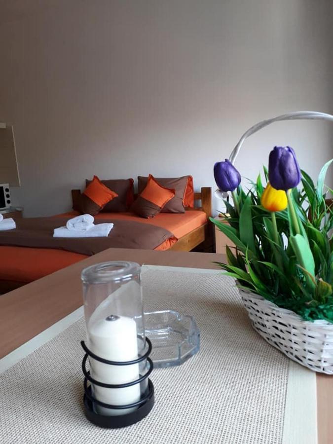 Apartmani - Vila Kovilje Banja Koviljača 외부 사진